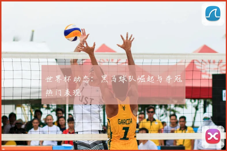 世界杯动态：黑马球队崛起与夺冠热门表现